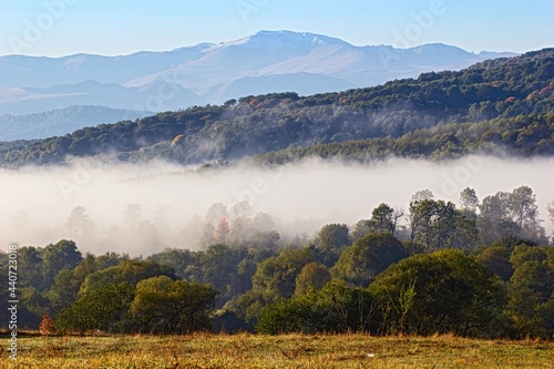 Dekoracja na wymiar  mgla-w-gorach-karaczajo-czerkiesji