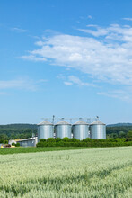 Silo At The Field For Corn Under Blue Sky