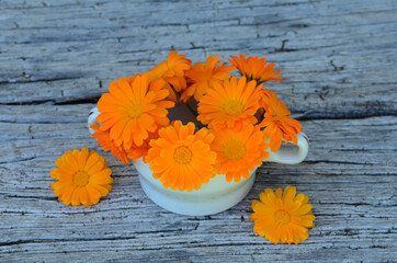 Wall Mural - Calendula flowers (Calendula officinalis) in a cup