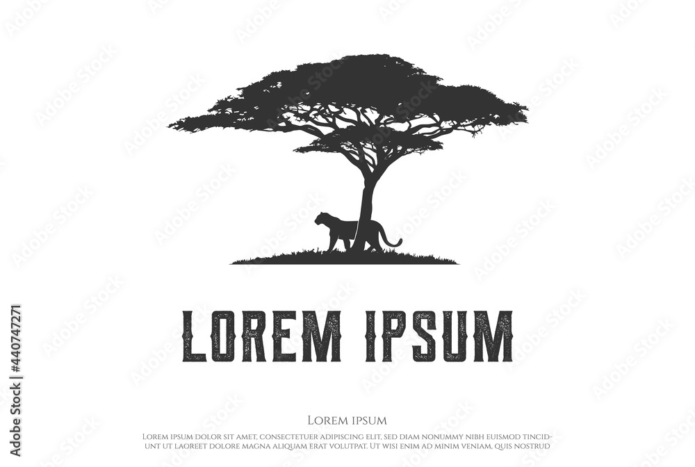 African Acacia Tree with Tiger Jaguar Leopard Cheetah Puma Panther Silhouette for Safari Adventure Logo Design Vector - obrazy, fototapety, plakaty 