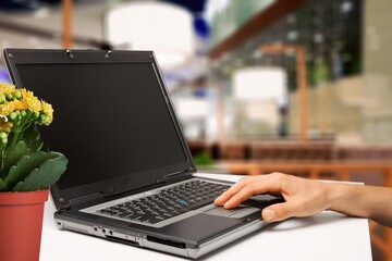 Canvas Print - Empty computer screen blank mockup on a laptop with hands of the worker