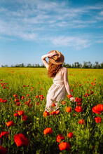 Back View. Young Curly Woman  In Hat Posing In The Poppy Field. Nature, Vacation, Relax And Lifestyle. Summer Landscape.