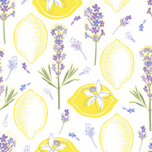 Floral Background With Hand-drawn Lavender Flowers And Lemons. Vector Illustration On White.