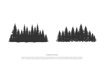 Wall Mural - Pine Cedar Conifer Coniferous Evergreen Fir Larch Cypress Hemlock Tress Forest for Camp Outdoor Adventure Logo Design Vector