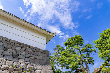 Wall Mural - 神奈川県小田原市　小田原城(常盤木門)