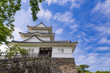 Wall Mural - 神奈川県小田原市　小田原城(天守閣)