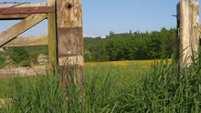 Summer Meadow Through View Of Rustic Wooden Gate