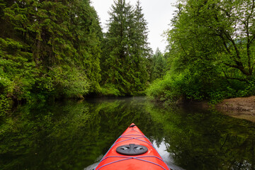 Adventure Concept Kayaking in Red Kayak surrounded by Canadian Mountain Landscape. Taken in Widgeon Valley, Pitt Meadows, Vancouver, British Columbia, Canada.