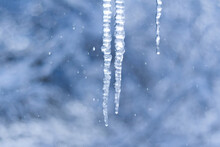 Transparent Icicles On Blue Blurred Background