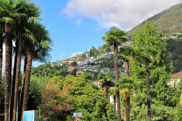 Wall Mural - Locarno, located at the southern foot of the Swiss Alps. Switzerland, Europe.