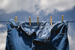 Blue jeans drying on wash or clothes line.