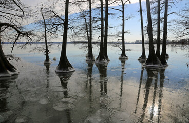 Sun reflection in frozen Lake - Reelfoot Lake State Park, Tennessee