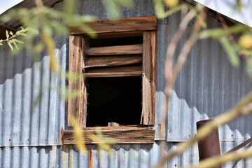 Canvas Print - An old wooden window in a metal shed.