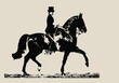 isolated on a light background is a graphic monochrome vintage image of a lady, a young woman in a female saddle riding a black horse