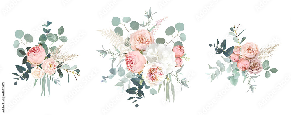 Blush pink garden roses, ranunculus, hydrangea flowers vector design bouquets - obrazy, fototapety, plakaty 