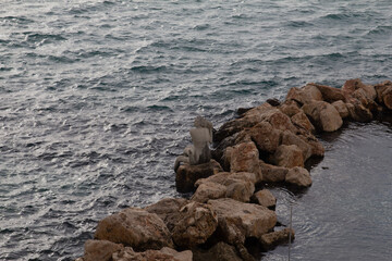 sea and rocks