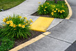 © knelson20 - Bright yellow sidewalk guides on a corner crossing, with yellow daylilies planted on either side of the entrance