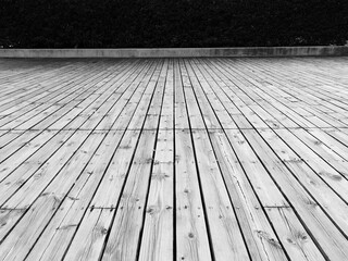 Canvas Print - old wooden floor with bush background, black and white style