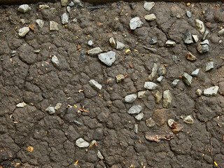 Sticker - wet soil on the ground with stone