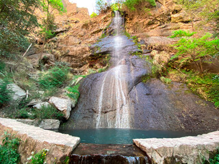 Waterfall forest