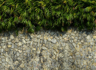 Poster - old stone wall with palm leaf of the bush in the garden