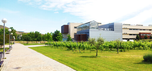 Natural view of a green lawn near a modern building under a bright sky