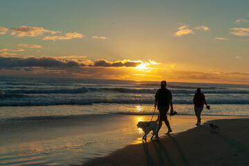 Poster - Golden hour sunrise over Waihi Beach