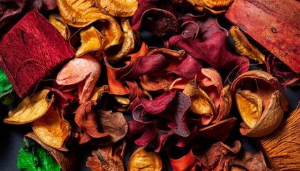  Dry flowers and leaves of orange and green color close-up on a black background. 