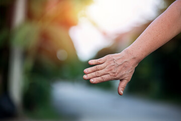 parent holds the hand of a small child