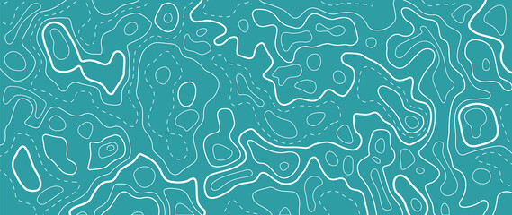 Wall Mural - abstract line art background vector. mountain topographic map background with lines texture. wallpap