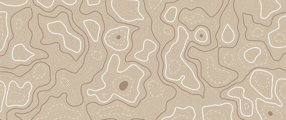 Wall Mural - abstract line art background vector. mountain topographic map background with lines texture. wallpap