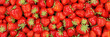 Strawberries berries fruits strawberry berry fruit panoramic view background