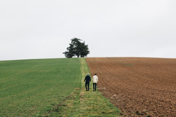 Poster - Two people walking in a green field separated by a rocky soil - single tree under sky in background