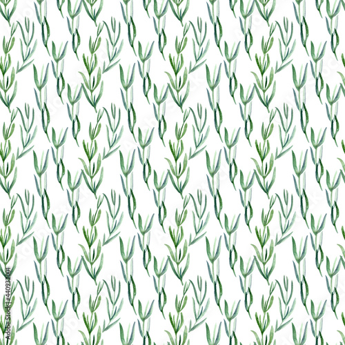 Dekoracja na wymiar  akwarela-lawendowy-wzor-na-bialym-tle-recznie-rysowany-botaniczny-papier-raczy