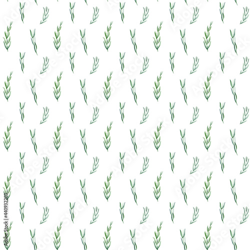 Tapety Prowansalskie  akwarela-lawendowy-wzor-na-bialym-tle-recznie-rysowany-botaniczny-papier-raczy
