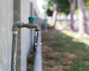 Wall Mural - Tap garden water for use in watering plants in the garden.