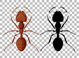 Sticker - Ant on transparent background