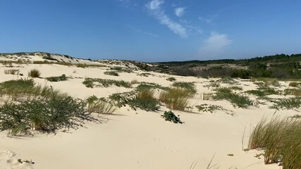 Canvas Print - Dune du Cap Ferret, Gironde