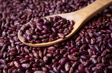 Red beans on a wooden spoon. Lots of beans, close-up