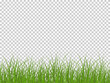 Green realistic seamless grass border isolated on transparent background. Horizontal seamless background
