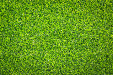 Canvas Print - top view green grass texture for background