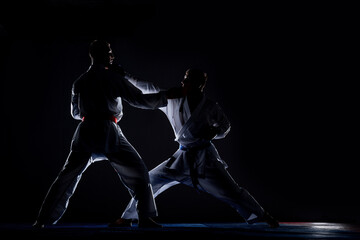 Wall Mural - Karate kata training men isolated on dark background