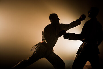 Wall Mural - The karate guy in white kimono and red belt training karate