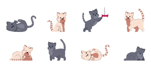  Cat adorable fummy animal. Set of cute kitty small friends. Domestic kitten character vector illustration.