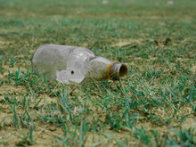 Alcohol Drink Empty Bottle Lying On Green Grass Field