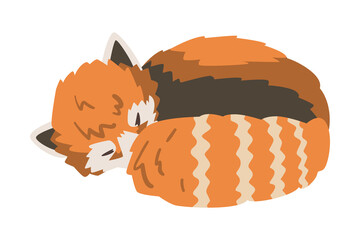 Sticker - Cute Sleeping Red Panda, Adorable Wild Animal Cartoon Vector Illustration