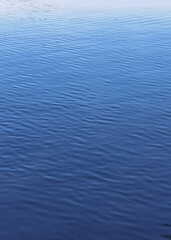 Vertical shot of a calm blue water