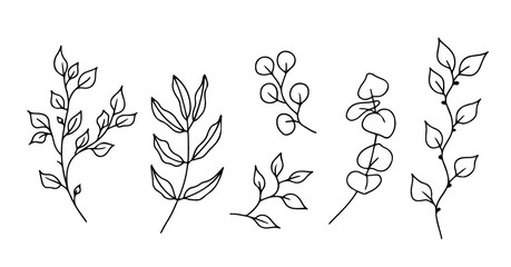 Eucalyptus doodle branch.Set of plants and tree branches with leaves and berries. Hand drawn botanical illustration. Black and white doodle vector image.