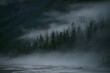Minimal mountain scenery with low clouds among coniferous trees on steep slope. Alpine landscape of mountainside with tops of firs in low clouds. Silhouettes of trees in fog. Imitation of watercolor.