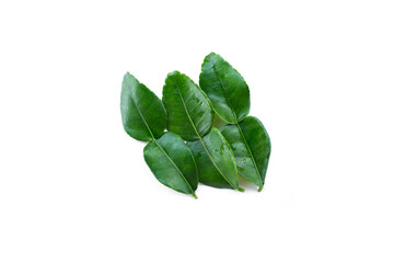 Wall Mural - Kaffir lime leaves on white background, spices in cooking